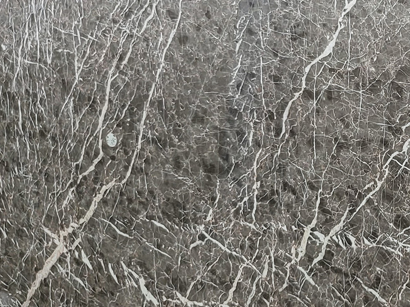 Shampion Grey